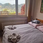 Zielona Przystan Z Widokiem Na Pieniny 公寓 亚沃尔基