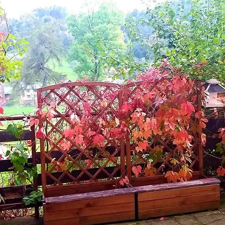 Zielona Przystan Z Widokiem Na Pieniny * Jaworki