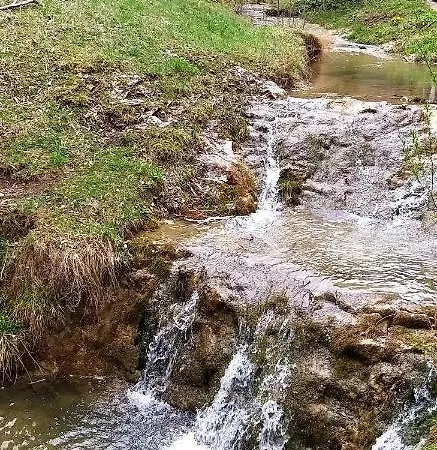 Zielona Przystan Z Widokiem Na Pieniny Διαμέρισμα *