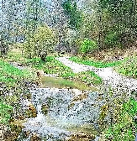 Zielona Przystan Z Widokiem Na Pieniny * Jaworki