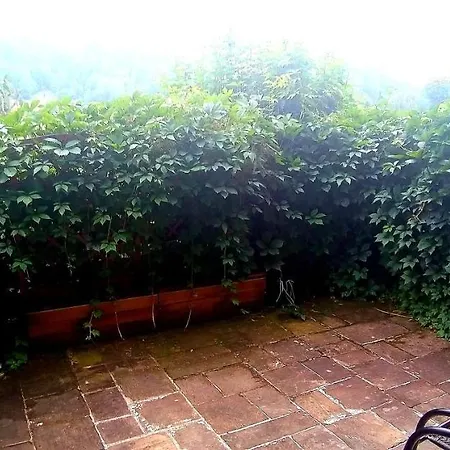 Zielona Przystan Z Widokiem Na Pieniny