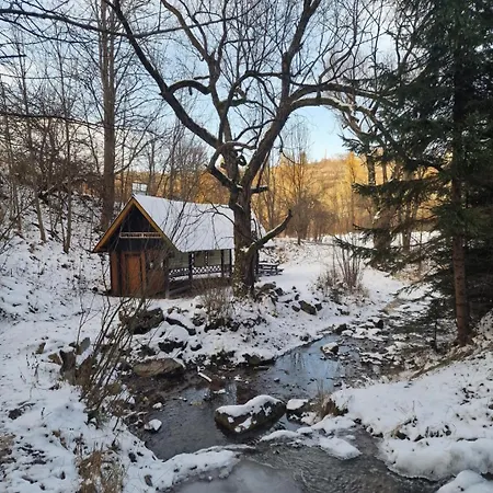 Zielona Przystan Z Widokiem Na Pieniny Jaworki