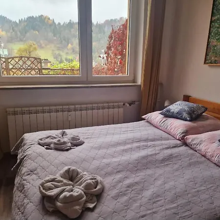 Zielona Przystan Z Widokiem Na Pieniny Lägenhet Jaworki
