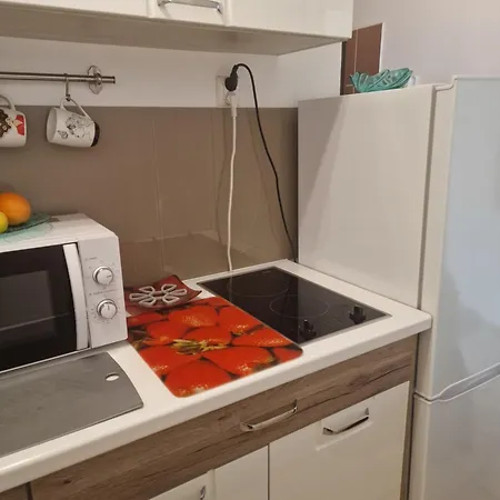 Διαμέρισμα Zielona Przystan Z Widokiem Na Pieniny Jaworki