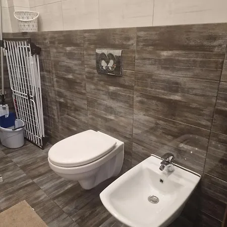 Zielona Przystan Z Widokiem Na Pieniny Jaworki