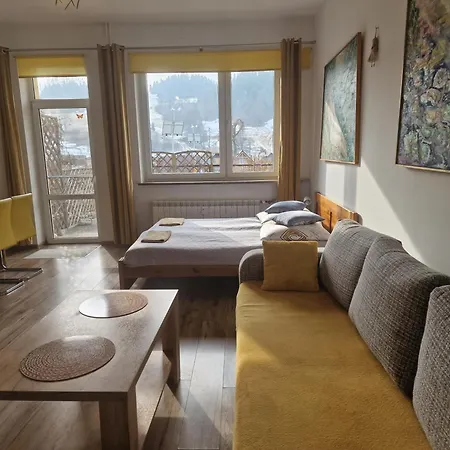 Zielona Przystan Z Widokiem Na Pieniny Jaworki