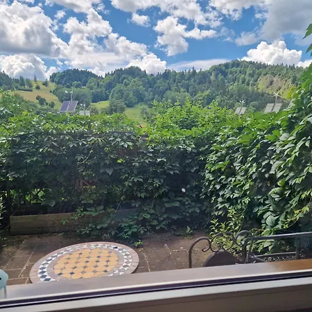 Zielona Przystan Z Widokiem Na Pieniny 야보르키