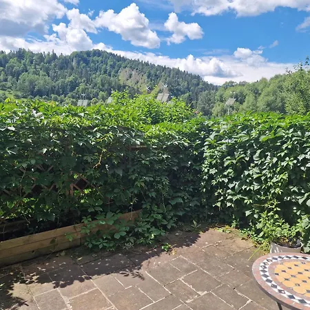 Zielona Przystan Z Widokiem Na Pieniny Jaworki