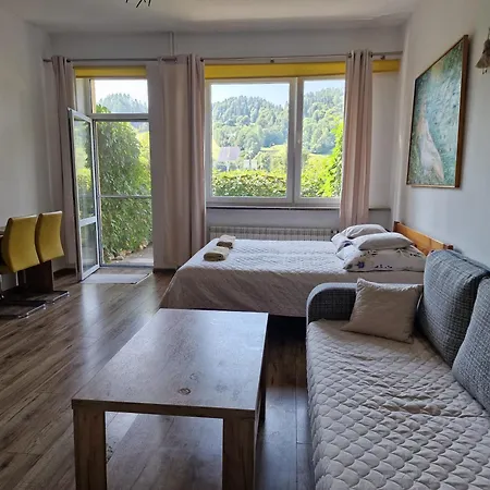 Zielona Przystan Z Widokiem Na Pieniny Apartment