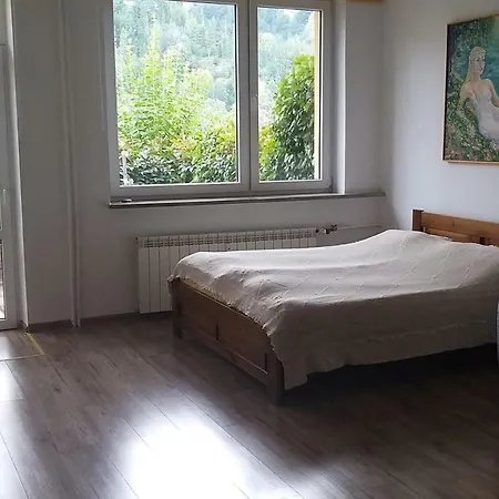 Zielona Przystan Z Widokiem Na Pieniny Апартаменты