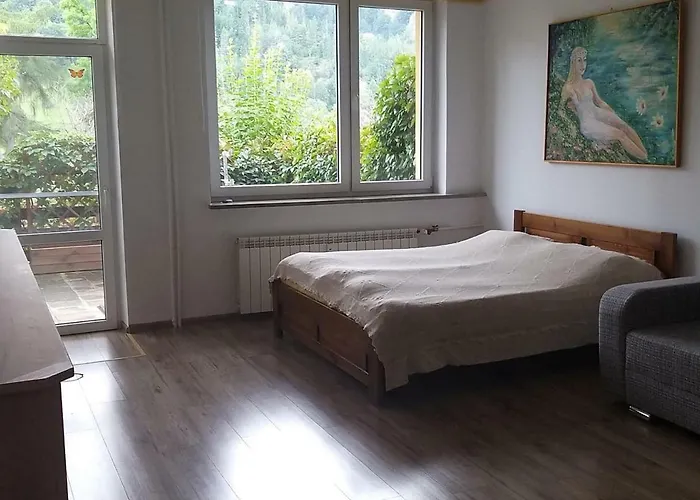 Zielona Przystan Z Widokiem Na Pieniny Lejlighed